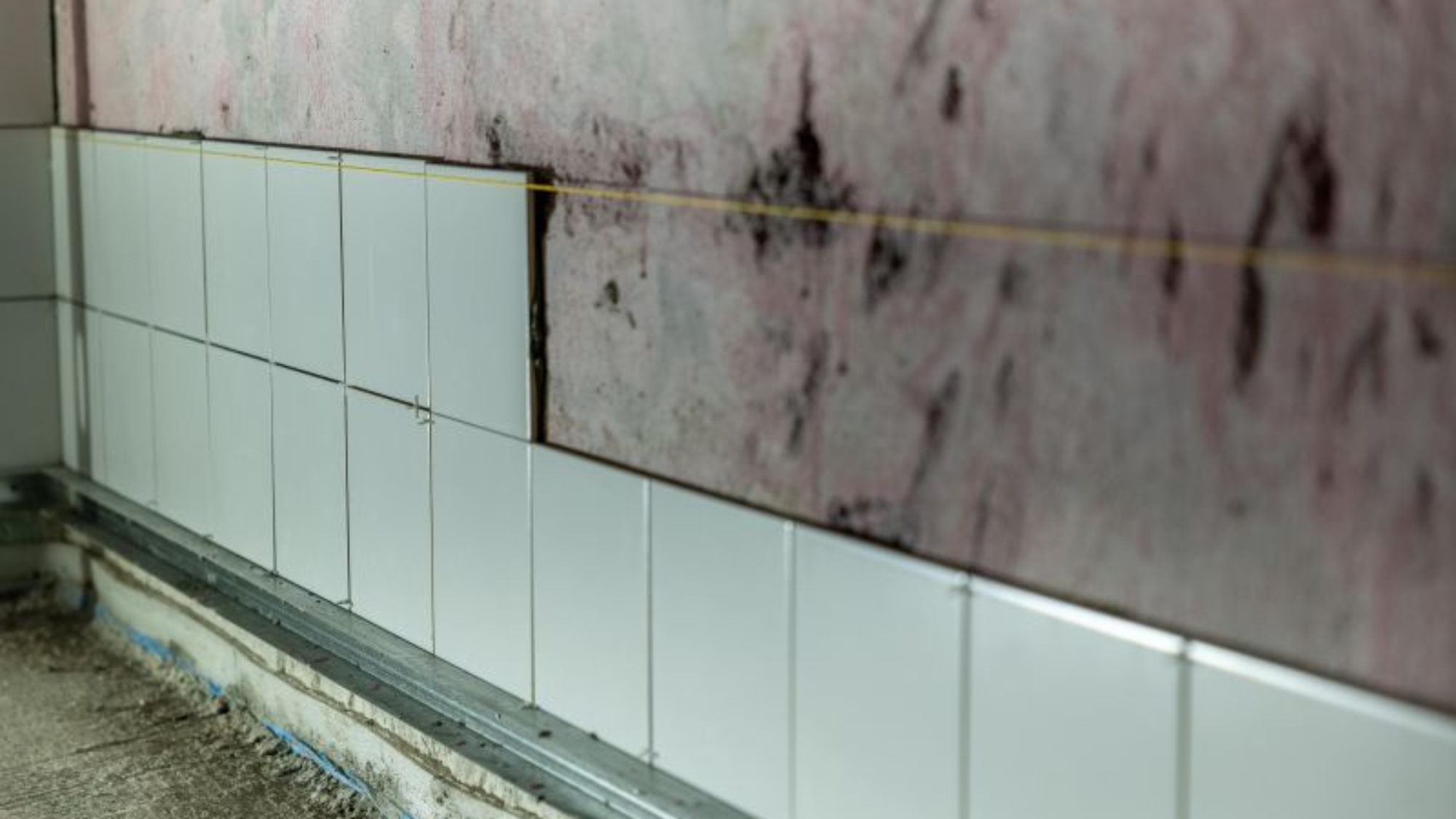 mold in bathroom darwin wet seasons