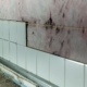 mold in bathroom darwin wet seasons