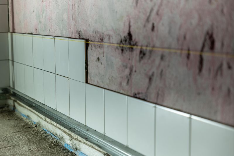 mold in bathroom darwin wet seasons